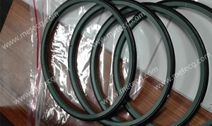 Air distributor seal for Techlong rotary blower