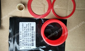 Nozzle cylinder repair kit with bearings